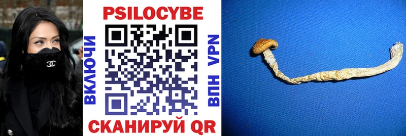 OMG как зайти  цены наркотик  Коряжма  Псилоцибиновые грибы MAGIC MUSHROOMS 